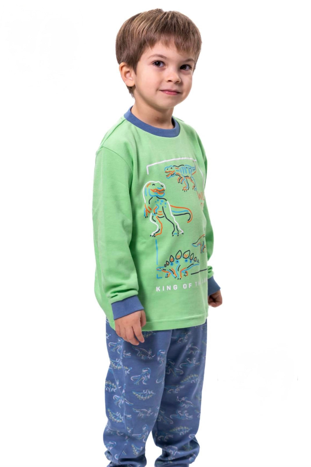 Pijama infantil Dinosaurios